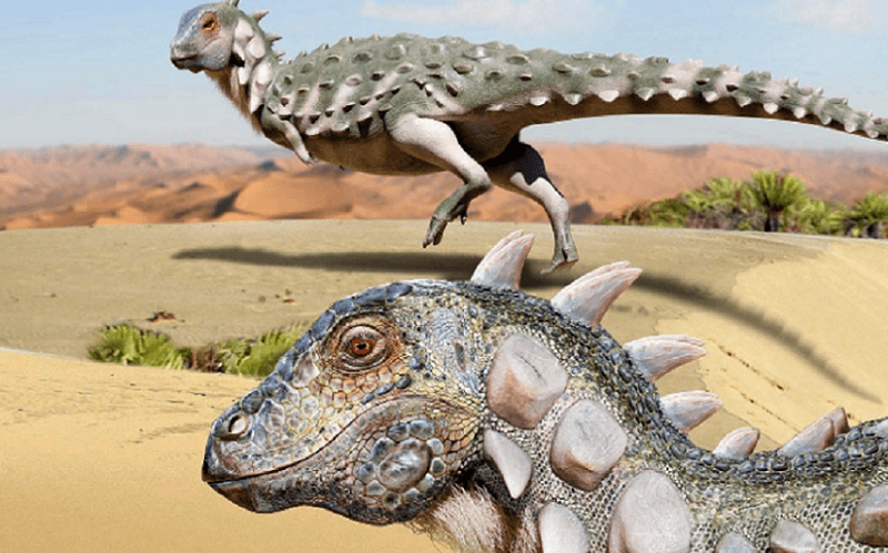 Rocha espacial que dizimou os dinossauros veio além de Júpiter