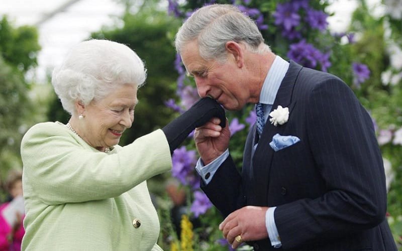 Um livro para entender a monarquia do Reino Unido