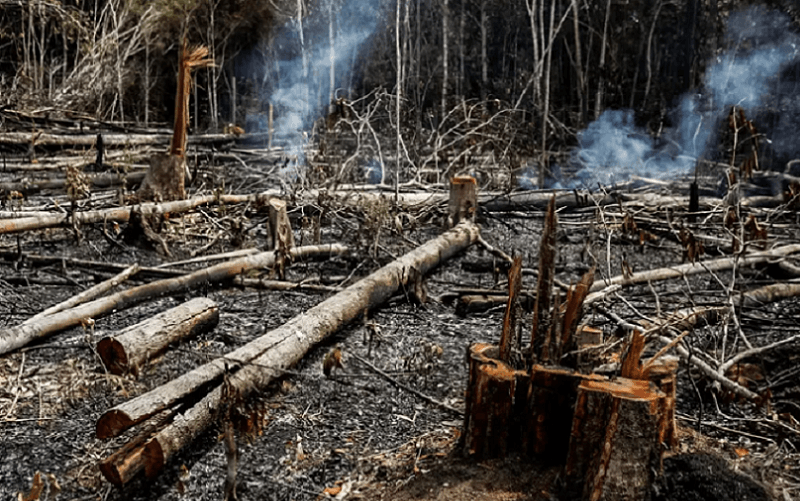 Desmatamento queimada Amazônia Misto Brasília