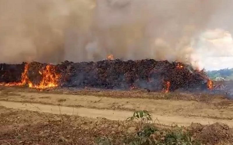 MST queima estoque de madeira de indústria no Maranhão