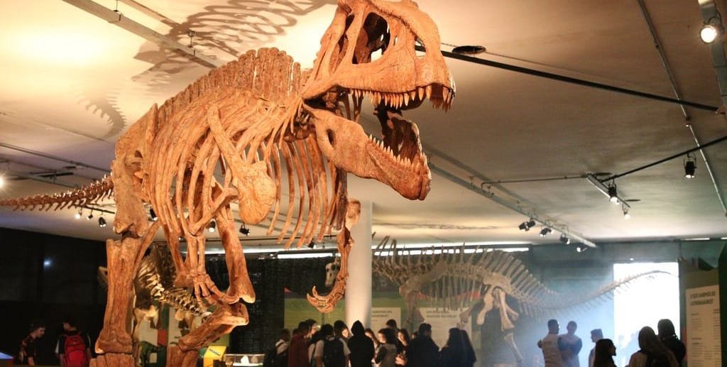 Dinossauro esqueleto exposição Misto Brasília