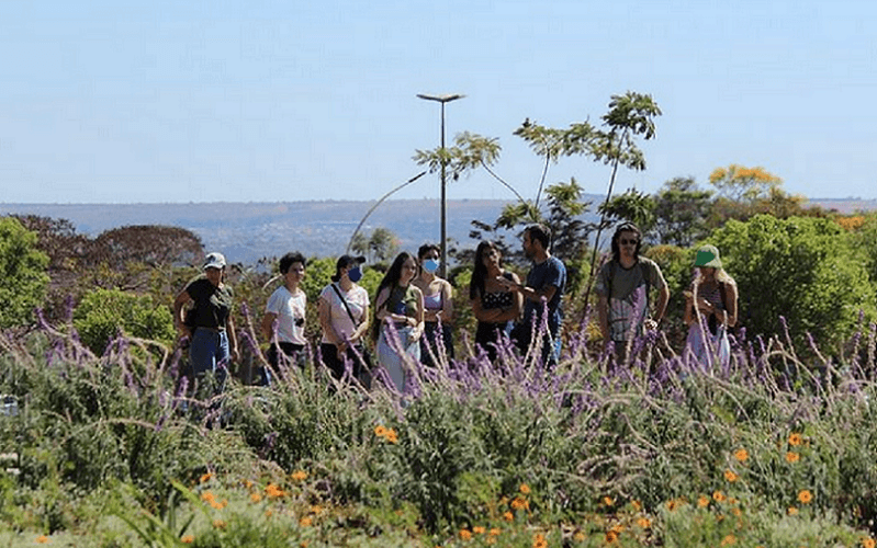 Jardim Sequeiro jardim temporário UnB Misto Brasília