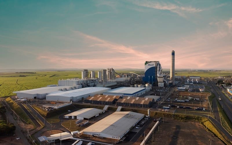 Empresa de celulose abre mil vagas de emprego