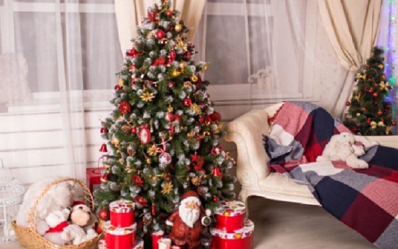 Pinheirinho de Natal surgiu como tradição no século 19