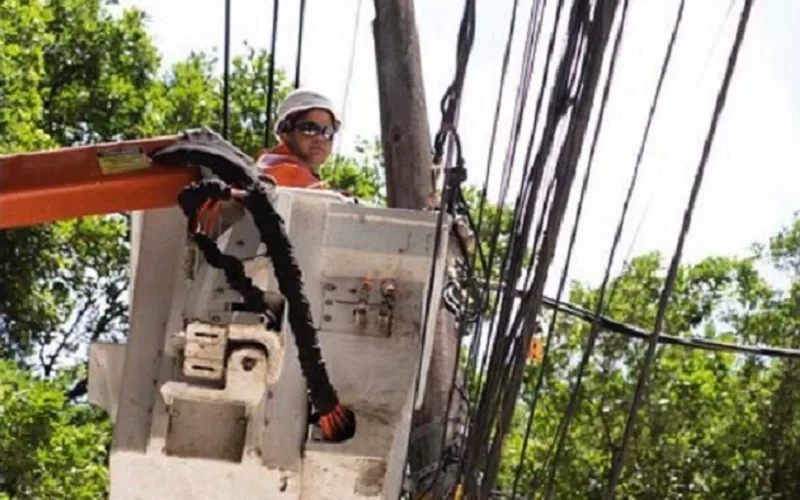 Evento marca os 50 anos de entidade ligada à energia
