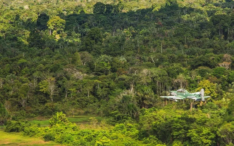 Lançado sistema monitorar diariamente a Amazônia