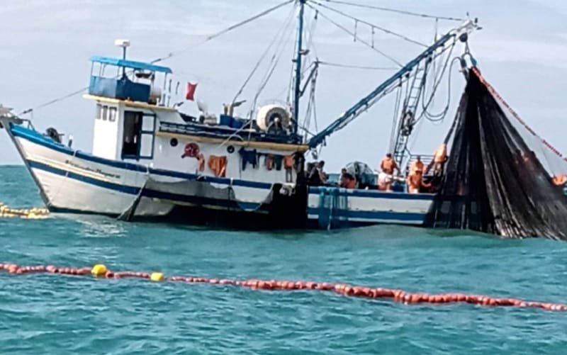 Pesca industrial de cerco da tainha está proibida neste ano