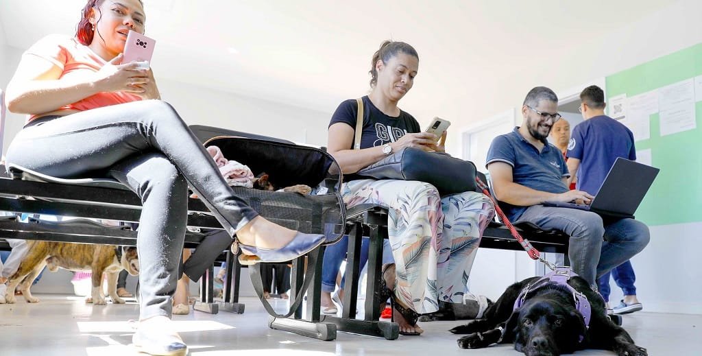 Paciente pet aguarda atendimento no Hospital Veterinário público que completou cinco anos e foi ampliado/ Lúcio Bernardo Jr./Agência Brasília