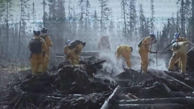 Canadá luta contra centenas de incêndios florestais