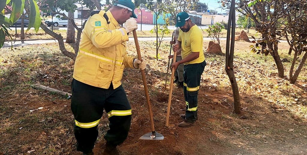 Brigadistas enxada limpeza Misto Brasília