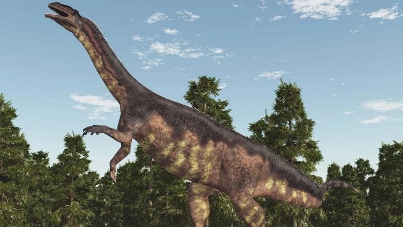 Descoberta nova espécie de dinossauro de 150 milhões de anos
