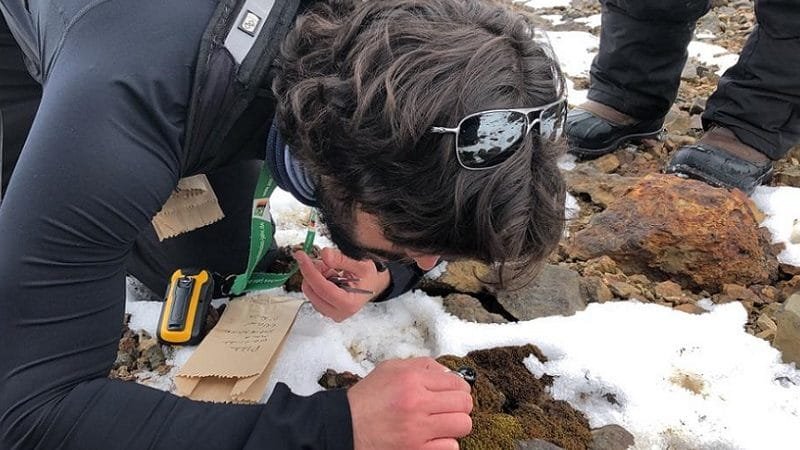 Pesquisadores de Brasília integram expedição para o Círculo Polar Ártico