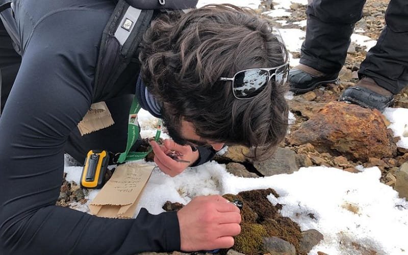 Pesquisador Marcelo Henrique Soller Ramada Antártica Misto Brasília