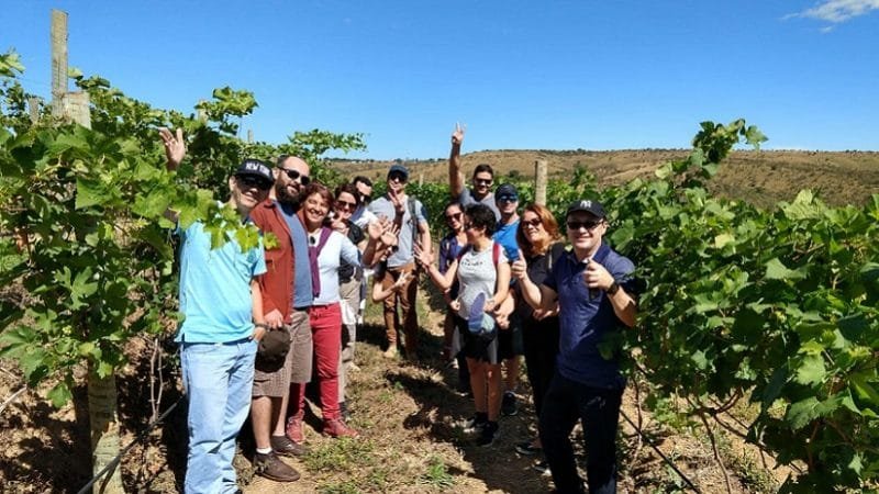 Vinhedo retoma em setembro os passeios enoturísticos