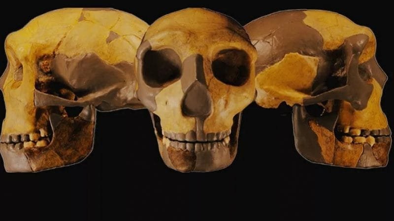 Fóssil humano antigo na China tem características únicas