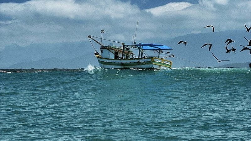 Ministério da Pesca convoca aprovados no seletivo simplificado