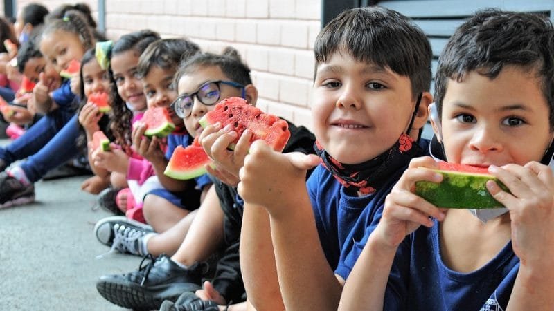 Plano de Alimentação prevê alimentos adaptados na merenda escolar