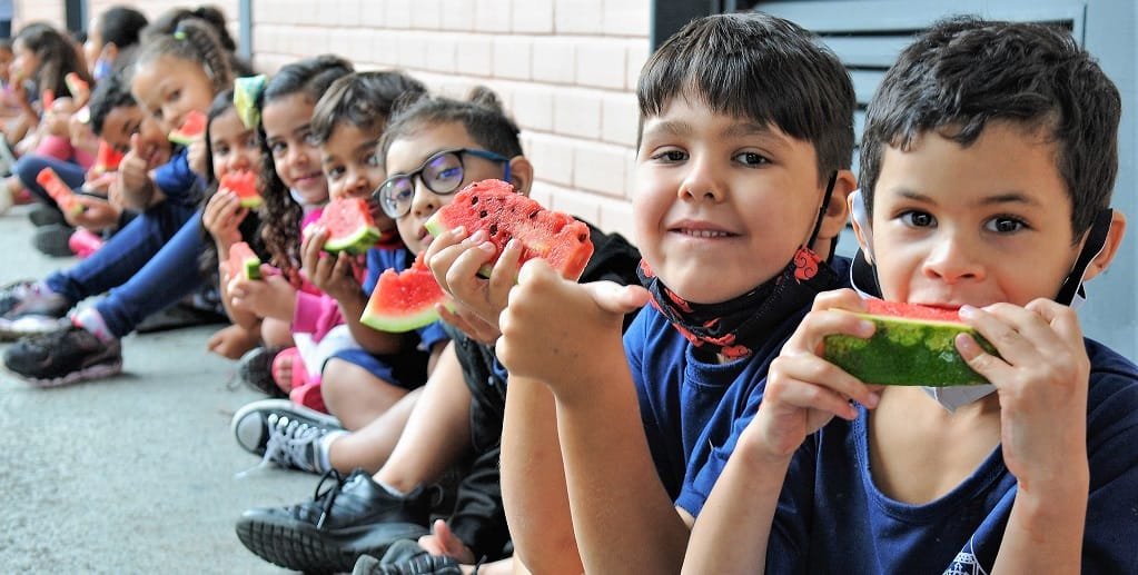 Merendeira merenda escolar DF Misto Brasil