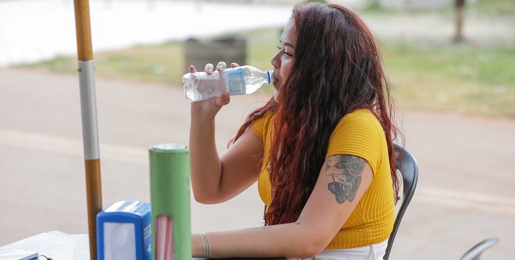 Calor bebendo água Misto Brasília