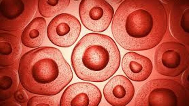 Microrrobô da espessura de um fio de cabelo humano