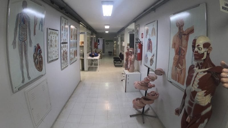 Processos seletivos da fundação de saúde podem ser suspensos