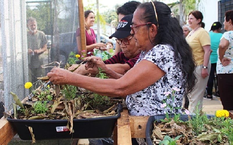Horta comunitária suspensa Misto Brasil