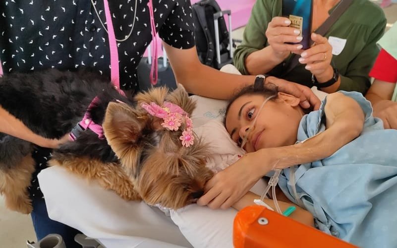 Hospital de Base Cachorrinha Chloé e Rebeca