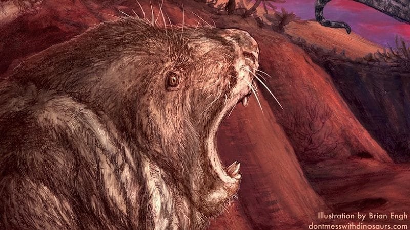 Descobertos fósseis de vertebrados que se assemelhavam a roedores