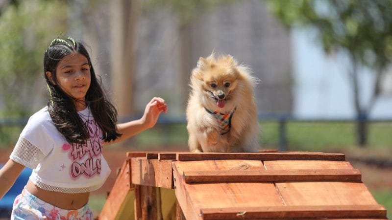 Samambaia tem seu primeiro parque somente para pets, é o ParCão K9 Heloísa, com circuitos, gangorras e rampas/Joel Rodrigues/Agência Brasília