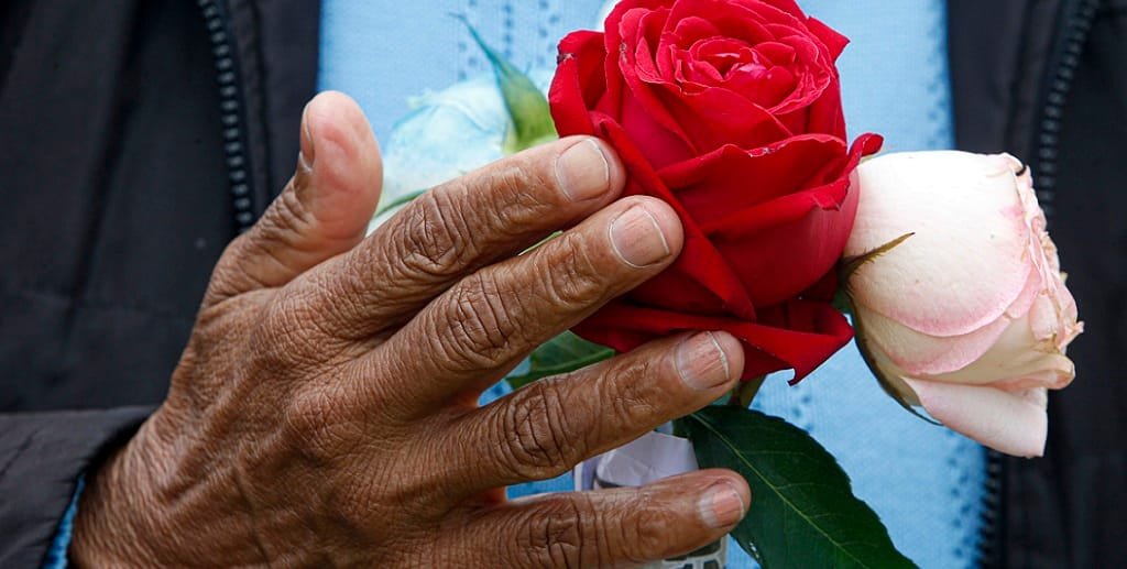 Dia de Finados flores rosas Misto Brasil