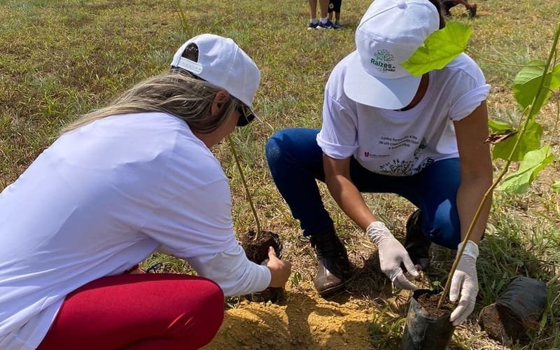 Parque do Riacho Fundo recebeu novas mudas do Cerrado