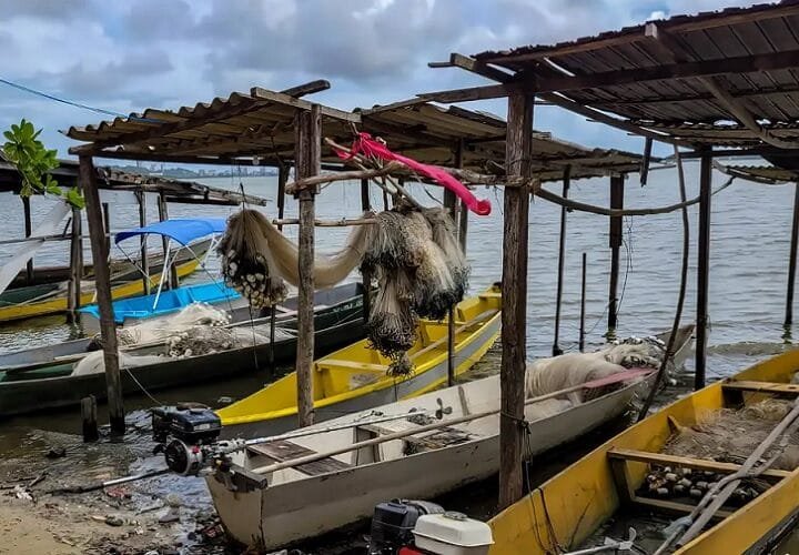 Seguro-defeso começa a ser pago nesta terça