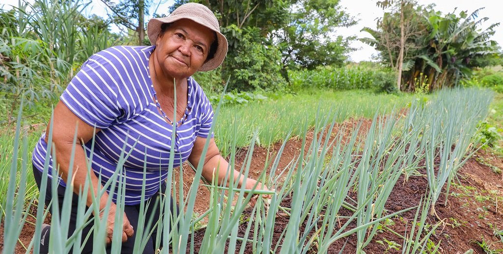 Agricultora Adelaide Guedes DF Misto Brasil