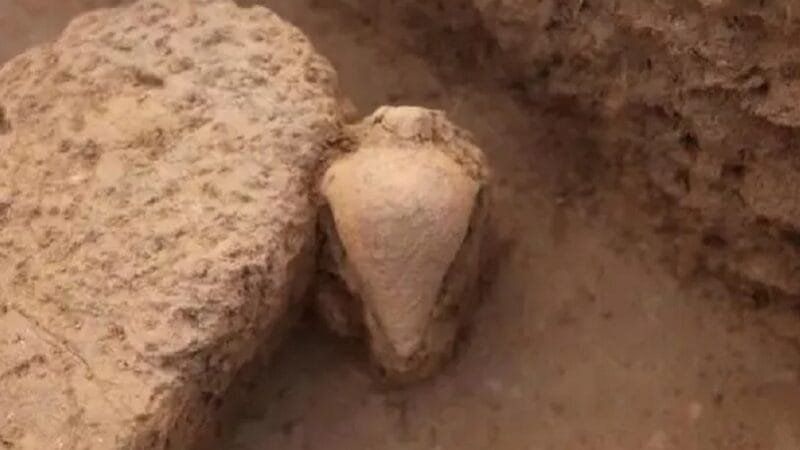 Tipo raro de garrafa de mais de 7 mil anos é encontrado na China