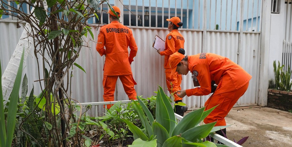 Dengue força-tarefa Ceilândia DF