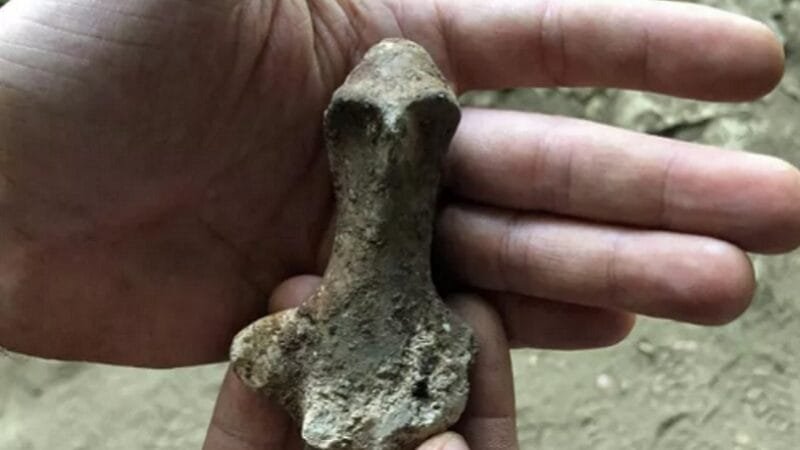 “Múmias alienígenas” são dois bonecos humanoides feito de ossos