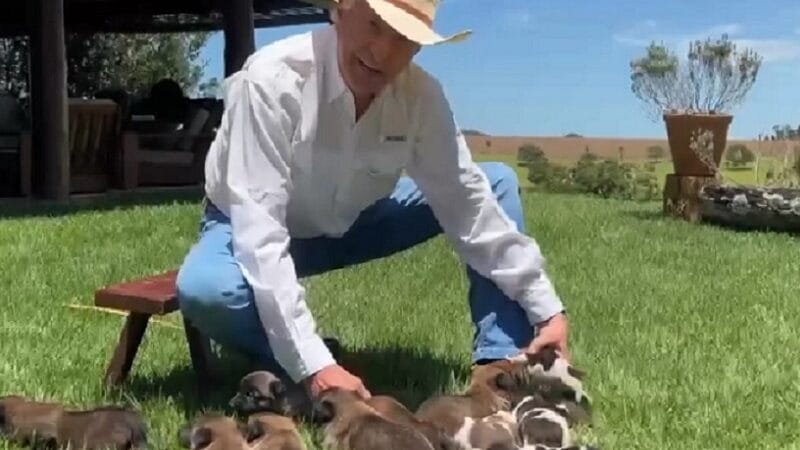 Caiado troca seguidores por filhotes de cachorros