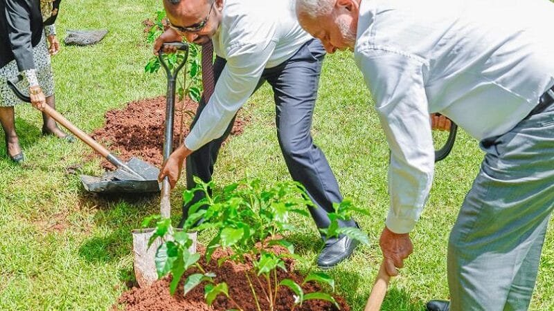 Lula da Silva cancelou ida a evento devido às tensões entre Ruanda e Congo