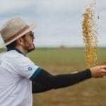 Pesquisa com algas promete lavouras mais resilientes no Brasil