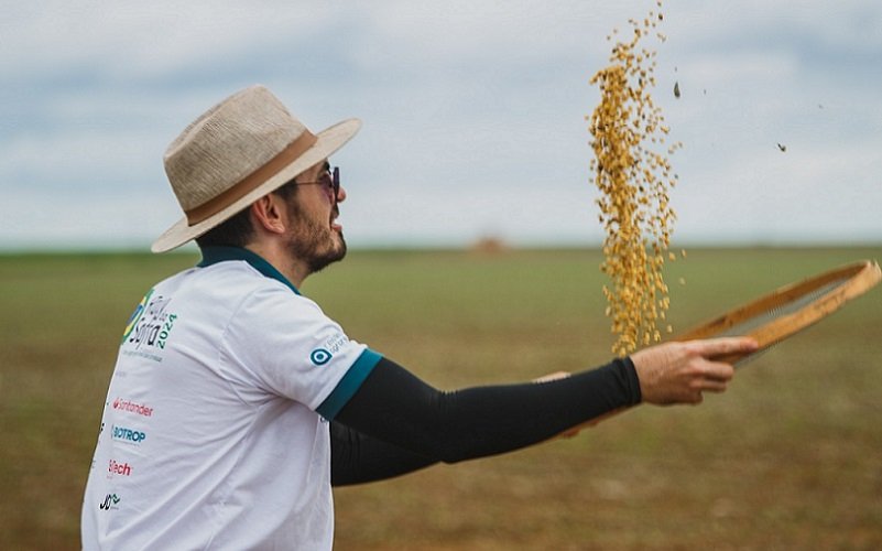 Grãos soja e milho colheira peneira Misto Brasil