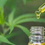 Farmacêutica lança produto de cannabis medicinal nas farmácias