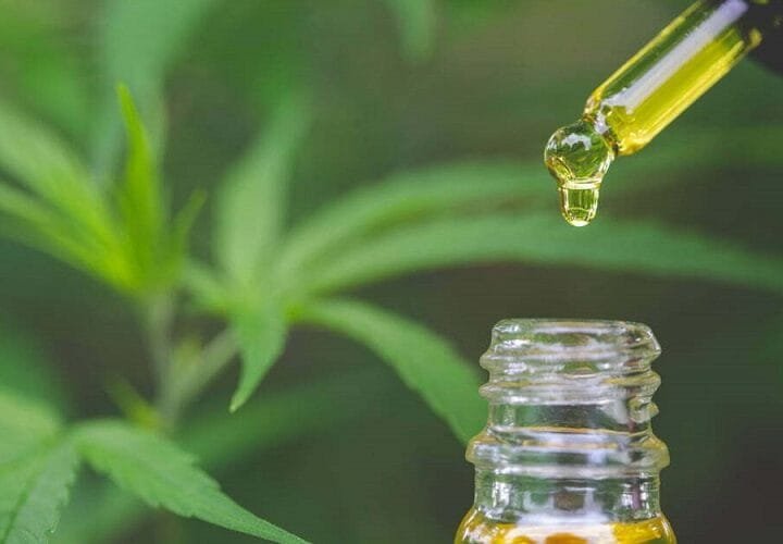Farmacêutica lança produto de cannabis medicinal nas farmácias