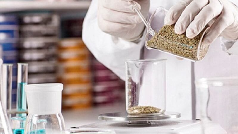 JBS faz parceria com farmacêutica para distribuição de insumos