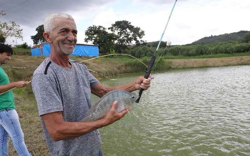 Peixe produtor Aldemir Gomes DF Misto Brasil