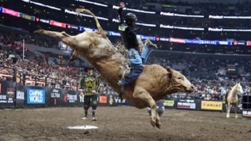 Brasília vai sediar festival de rodeio em abril