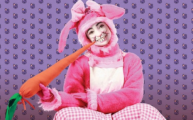 Teatro infantil Coelha desobediente Misto Brasil