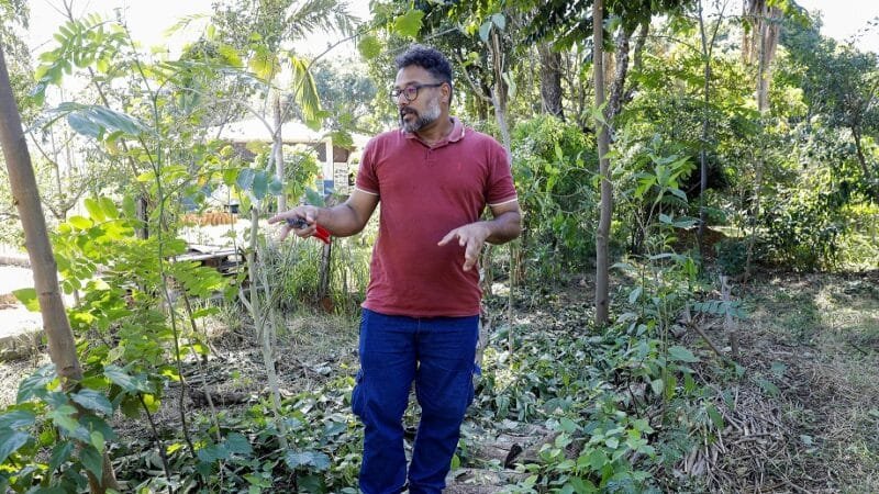 Marcos Trajano é gente de Práticas Integrativas da Secretaria da Saúde, que incentiva o plantio e o uso de plantas cultivadas nos hortos agroflorestais/Lúcio Fernardo Jr/Agência Brasília