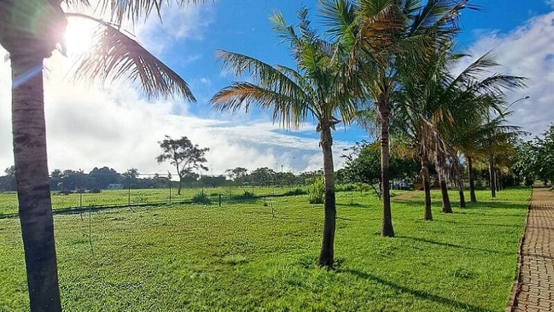 Colégio terá aulas práticas na agrovila para gestão de recursos naturais