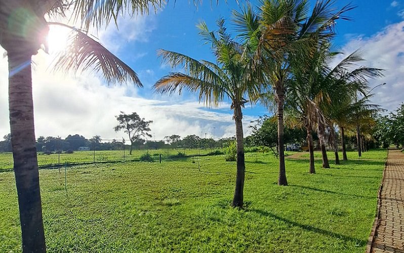 Agrovila Colégio Católica Brasília DF Misto Brasil