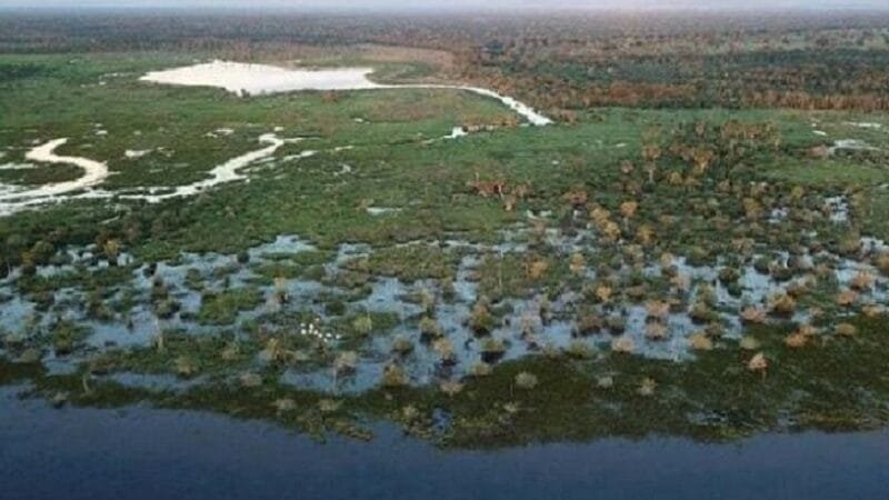 Chuvas podem elevar os níveis dos rios no Pantanal, mas cenário preocupa